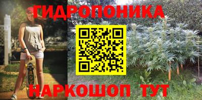 PSILOCYBIN Заволжье
